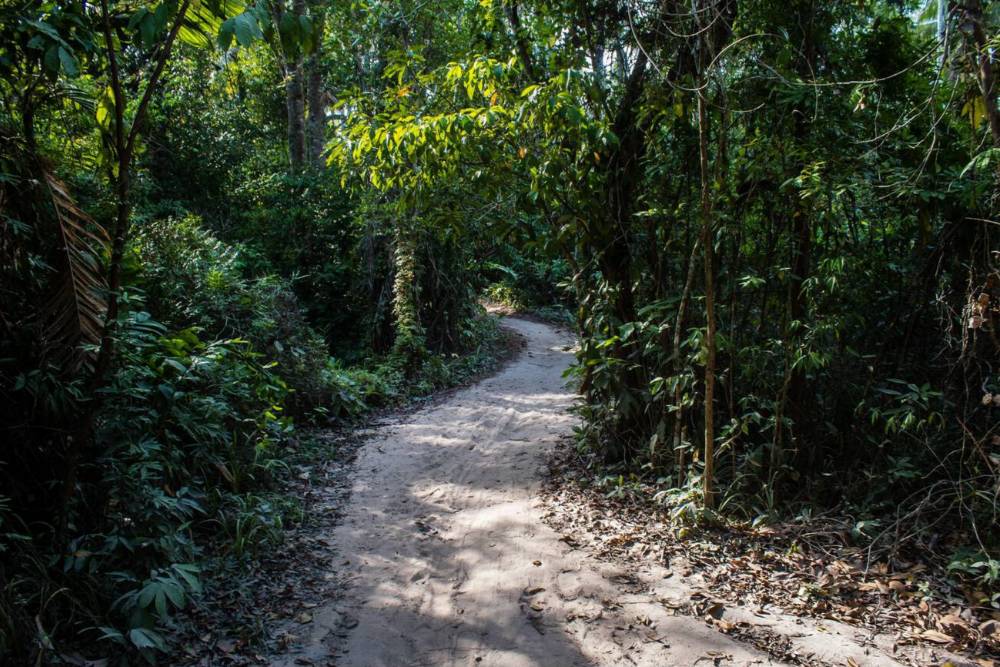 Trekking nella giungla all'isola di Koh Rong